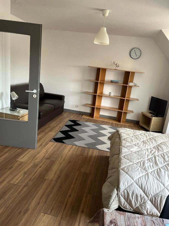 Super Appartement Colmar Centre Extérieur photo